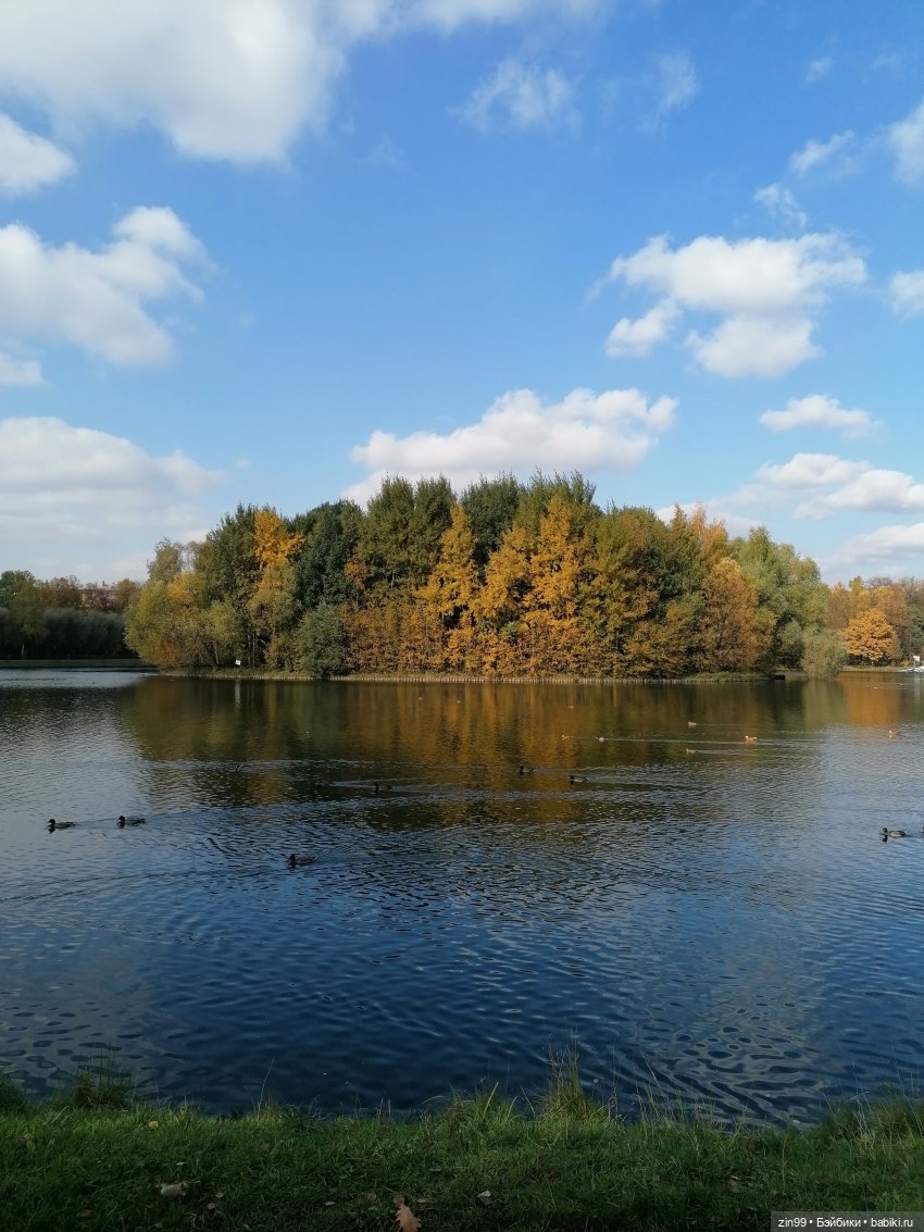 Осень в парке — Куклы Baboliy (Баболи
