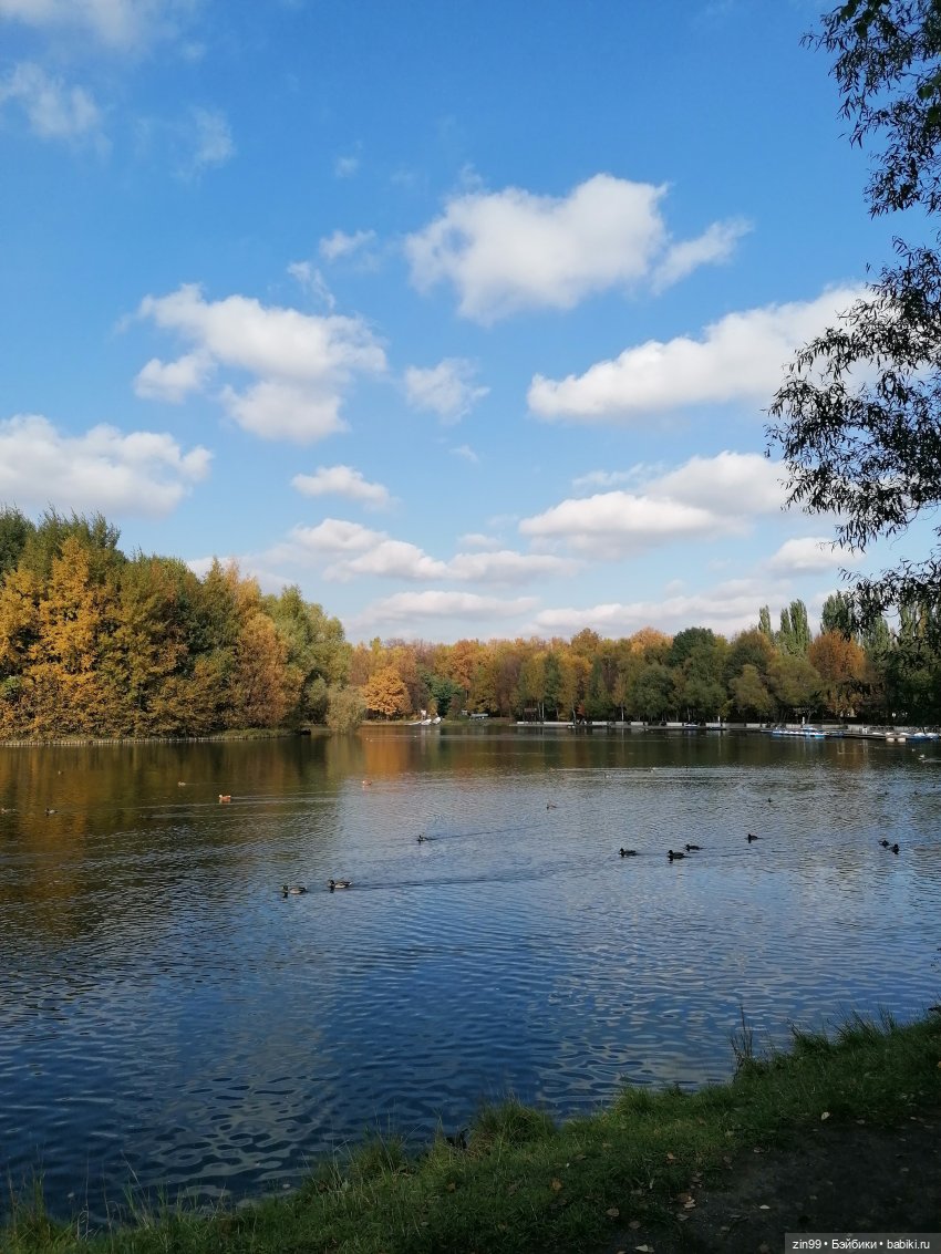 Осень в парке — Куклы Baboliy (Баболи