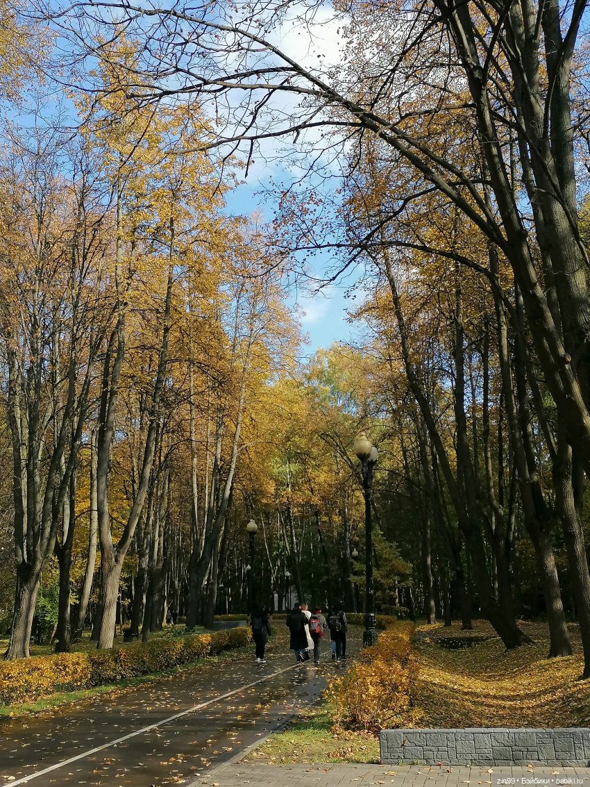 Осень в парке — Куклы Baboliy (Баболи