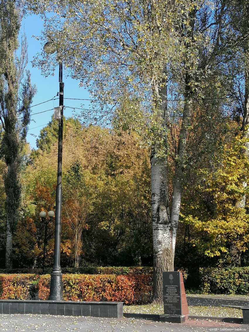 Осень в парке — Куклы Baboliy (Баболи