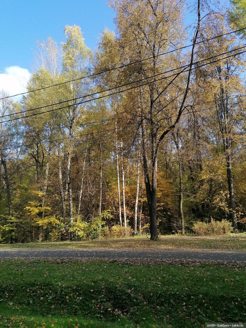 Осень в парке — Куклы Baboliy (Баболи (фото 3)