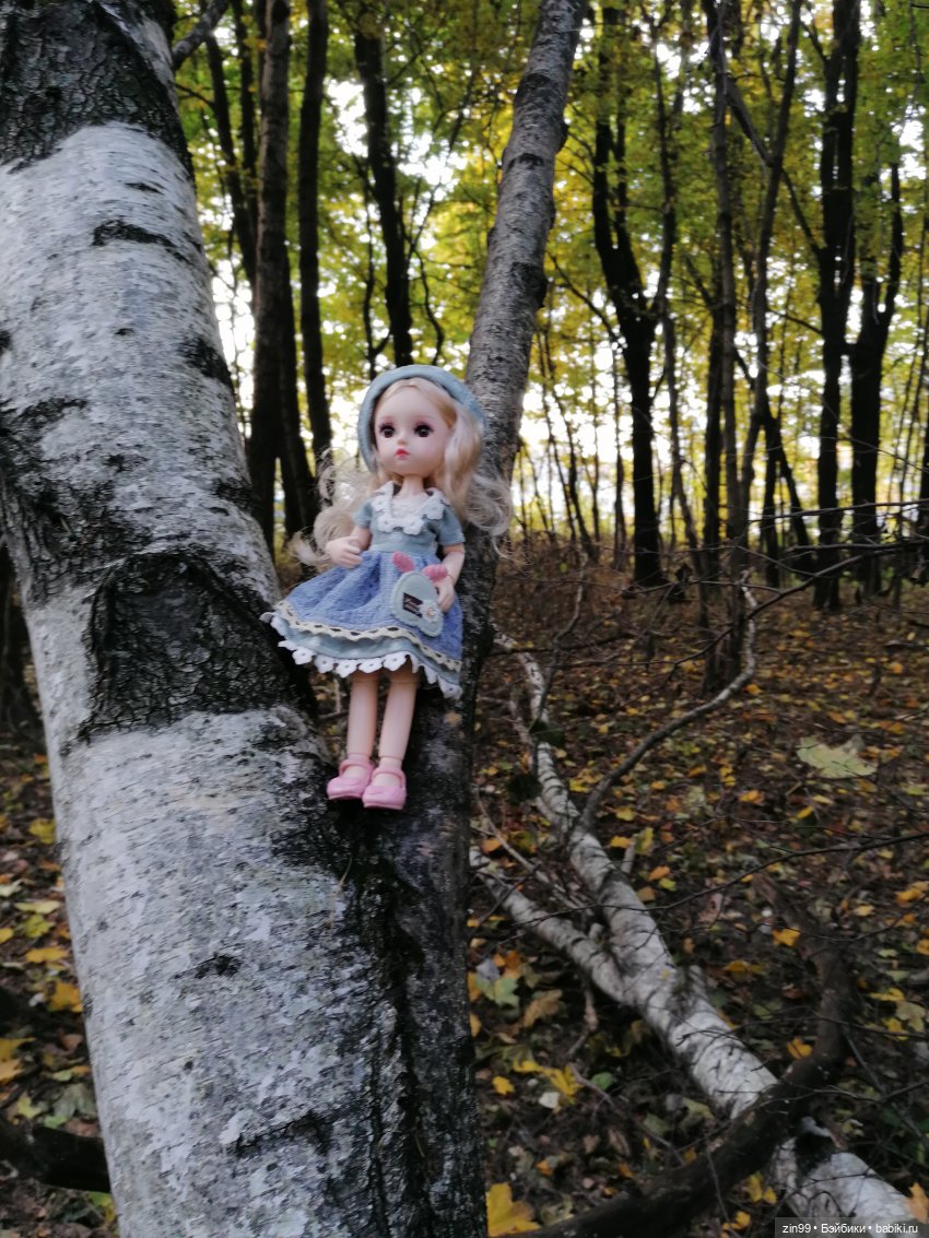 Осень в парке — Куклы Baboliy (Баболи