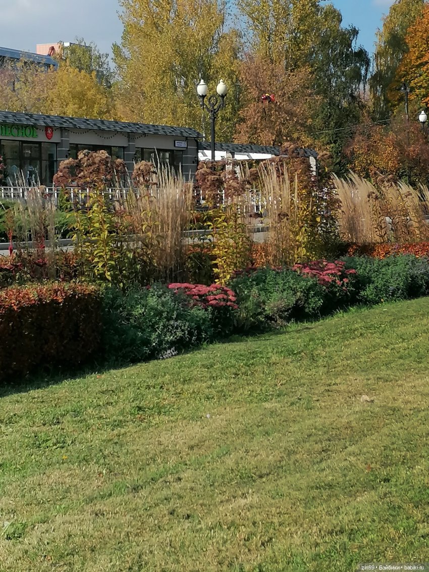 Осень в парке — Куклы Baboliy (Баболи