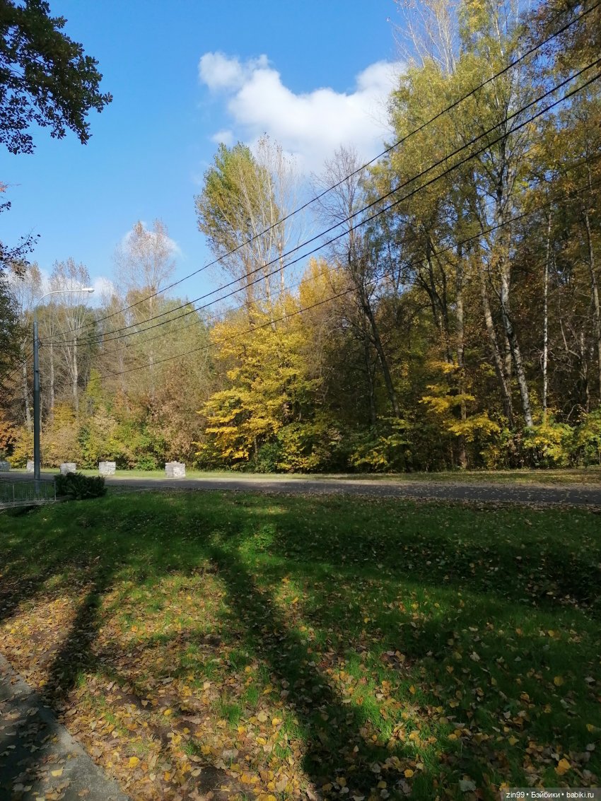 Осень в парке — Куклы Baboliy (Баболи (фото 2)