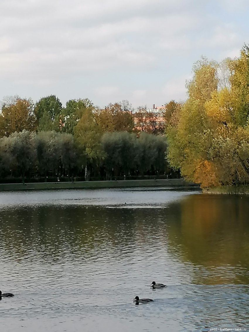 Осень в парке — Куклы Baboliy (Баболи