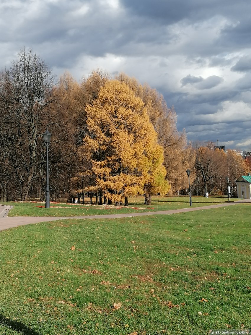 Октябрь в парке в Коломенском