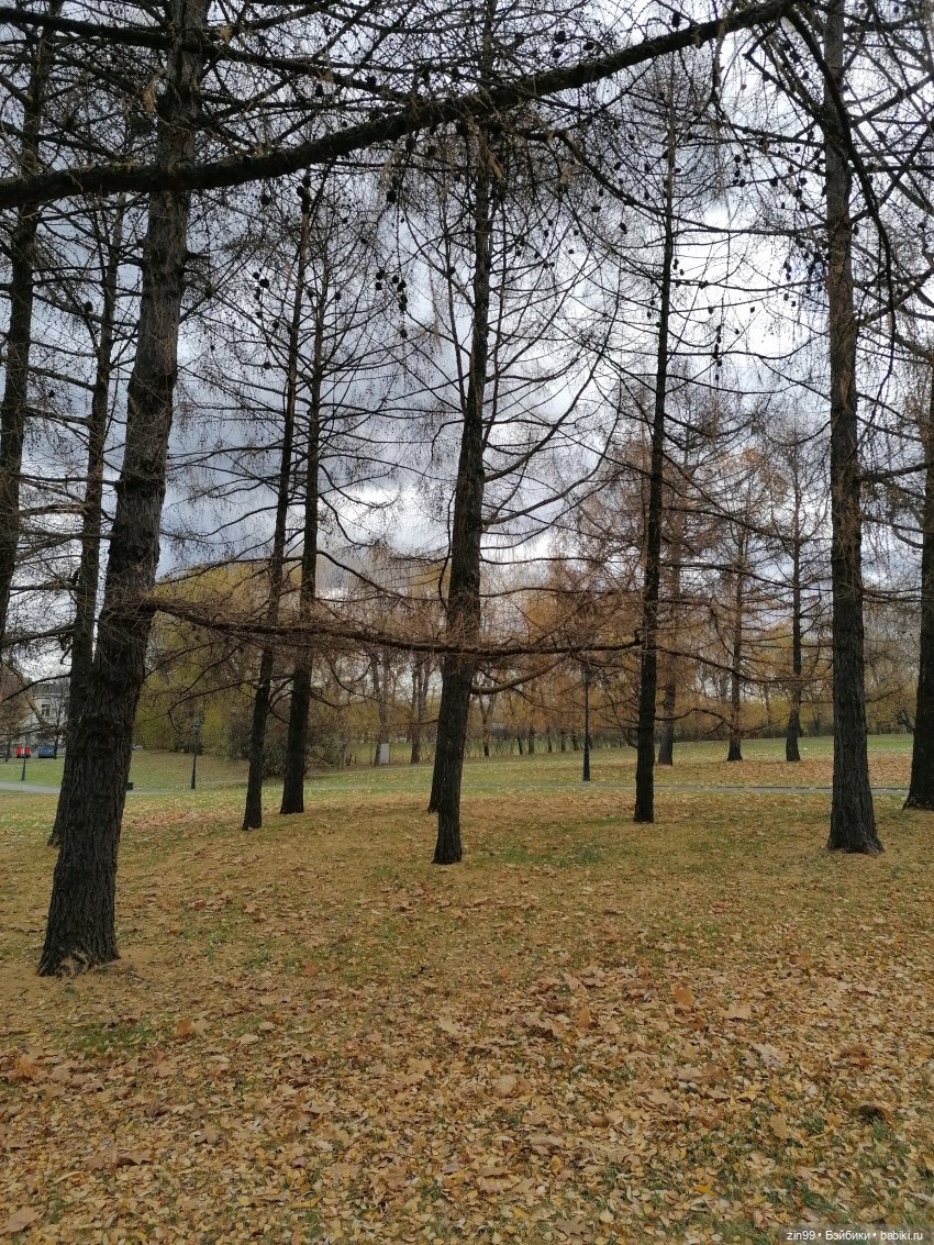 Октябрь в парке в Коломенском