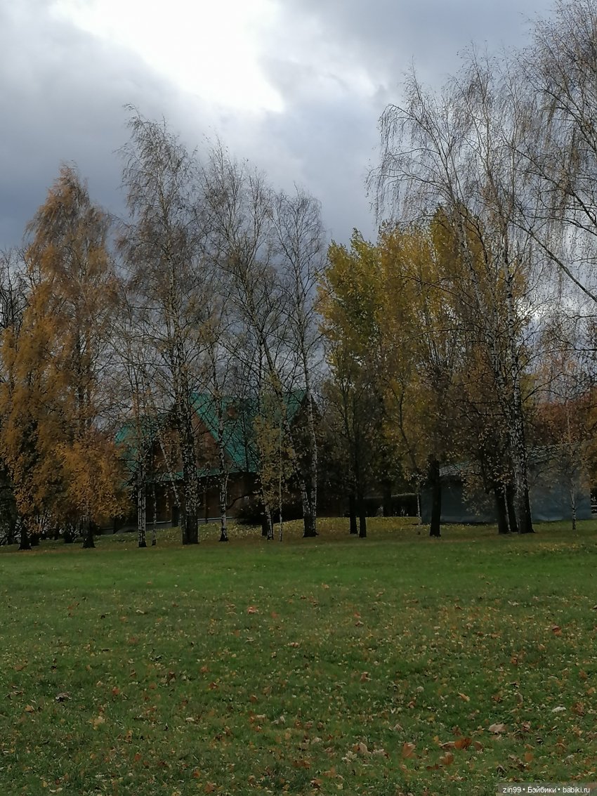 Октябрь в парке в Коломенском (фото 3)