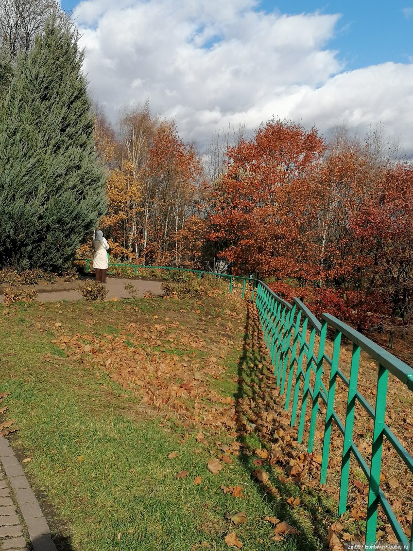 Октябрь в парке в Коломенском