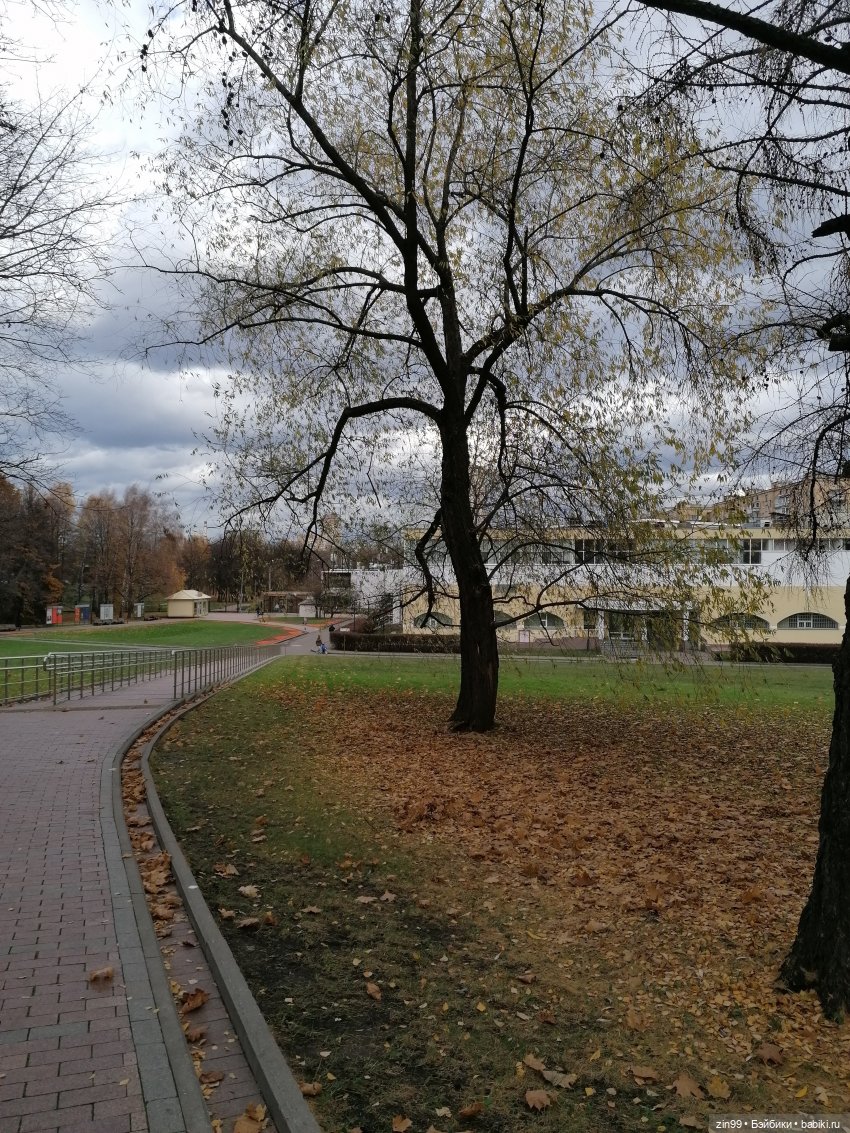 Октябрь в парке в Коломенском (фото 2)