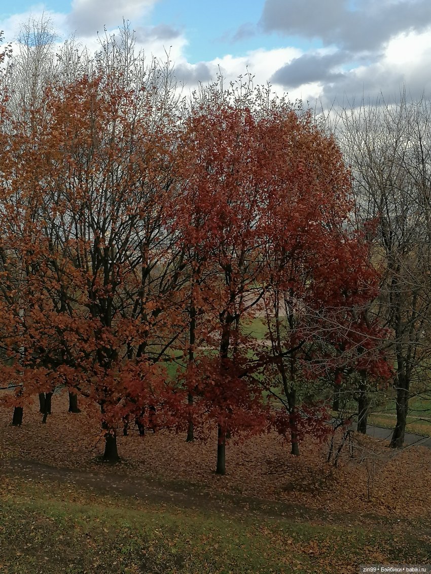 Октябрь в парке в Коломенском