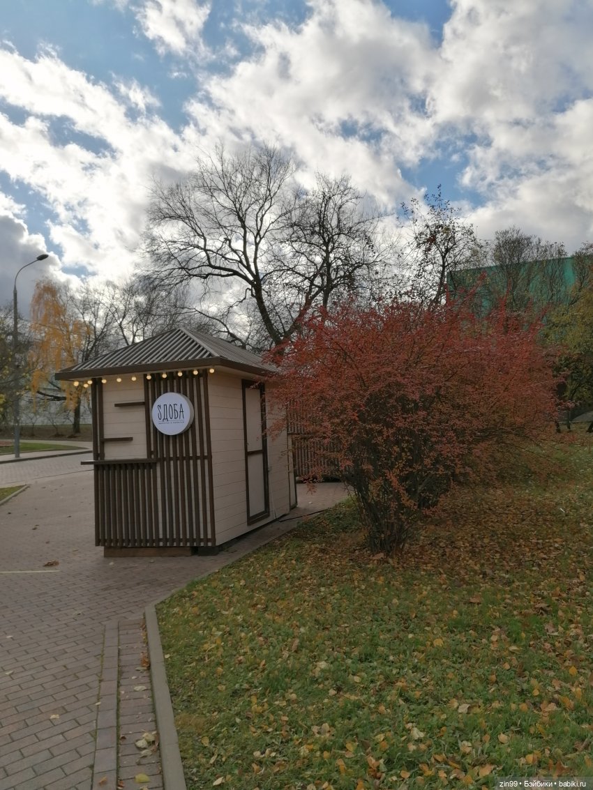 Октябрь в парке в Коломенском (фото 5)