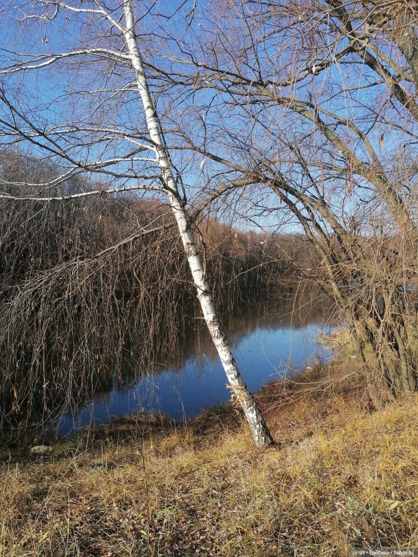 Куклы Баболи в парке и в магазинах