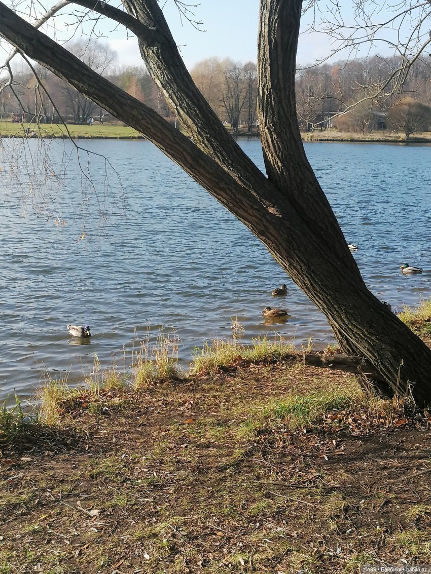 Куклы Баболи в парке и в магазинах (фото 4)