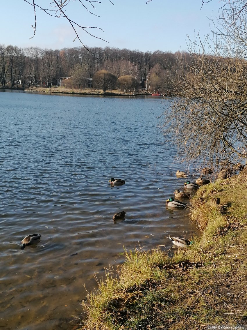 Куклы Баболи в парке и в магазинах (фото 10)