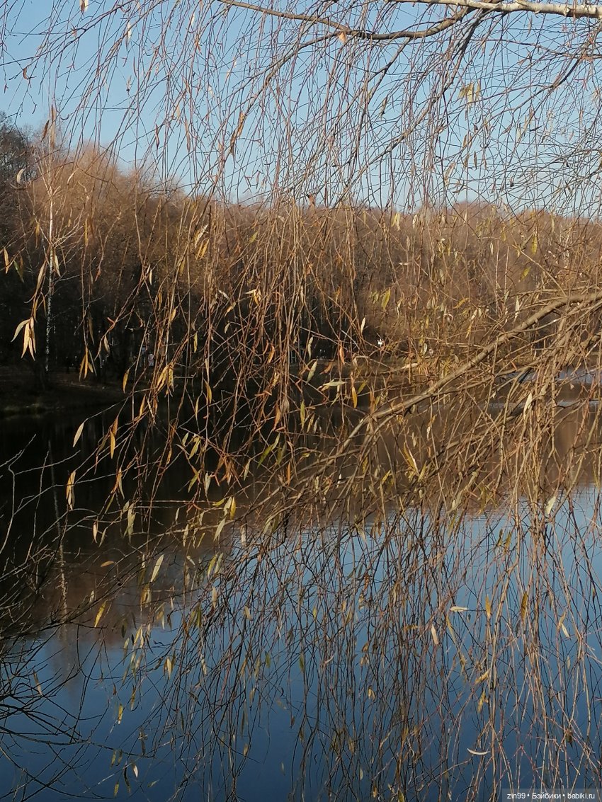 Куклы Баболи в парке и в магазинах