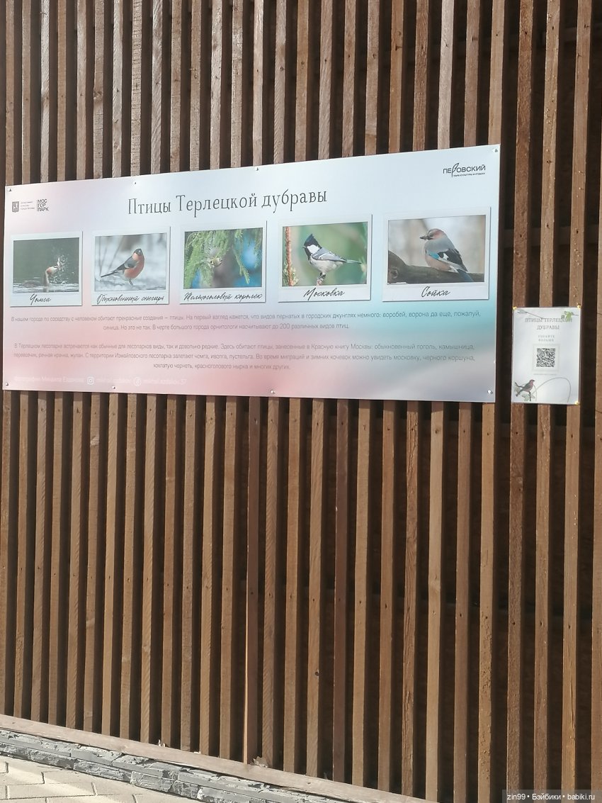 Куклы Баболи в парке и в магазинах