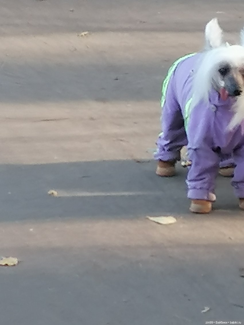 Куклы Баболи в парке и в магазинах