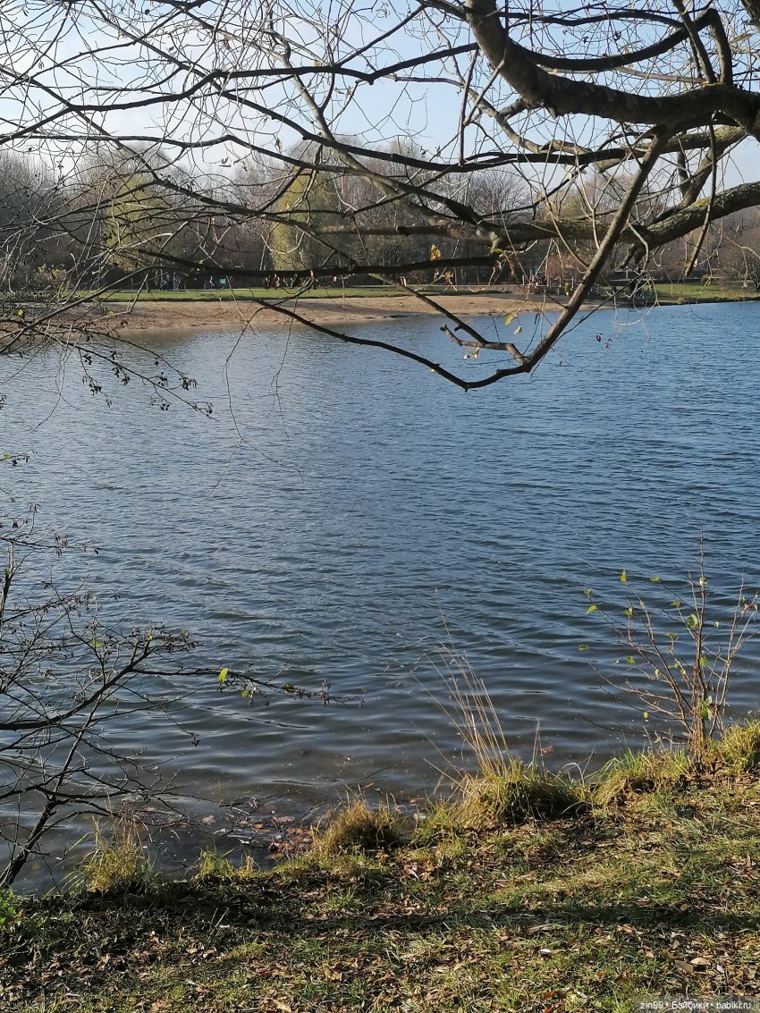 Куклы Баболи в парке и в магазинах (фото 2)