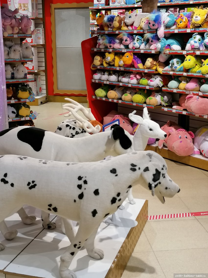 Прогулка по Центральному магазину