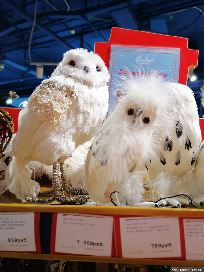 Прогулка по Центральному магазину