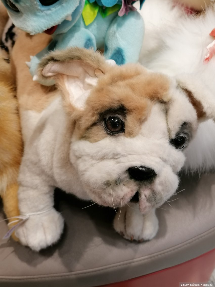 Прогулка по Центральному магазину