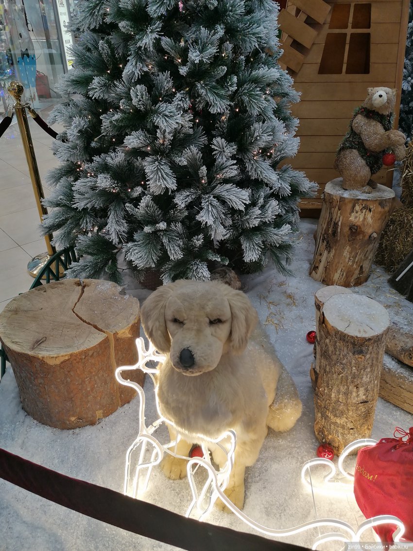 Прогулка в большой развлекательный центр Москвы с куколкой