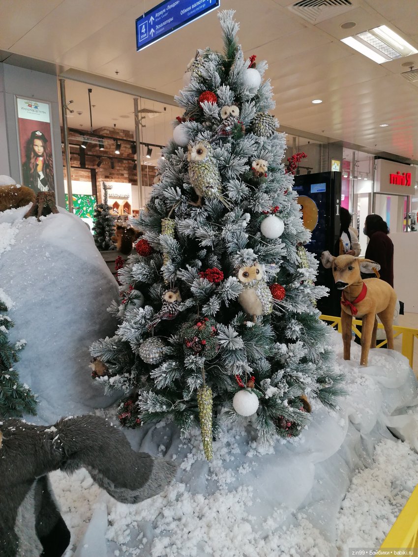 Прогулка в большой развлекательный центр Москвы с куколкой