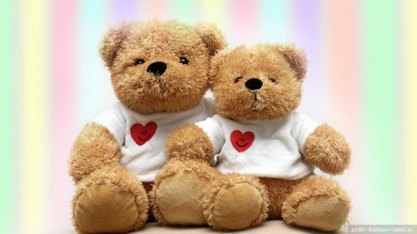 Мишки тедди или просто Мишки (фото 8)