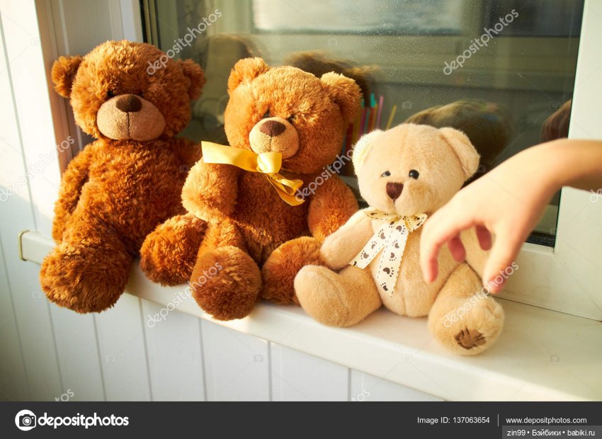 Мишки тедди или просто Мишки