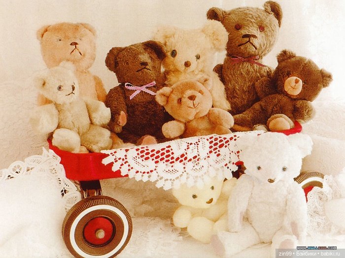 Мишки тедди или просто Мишки