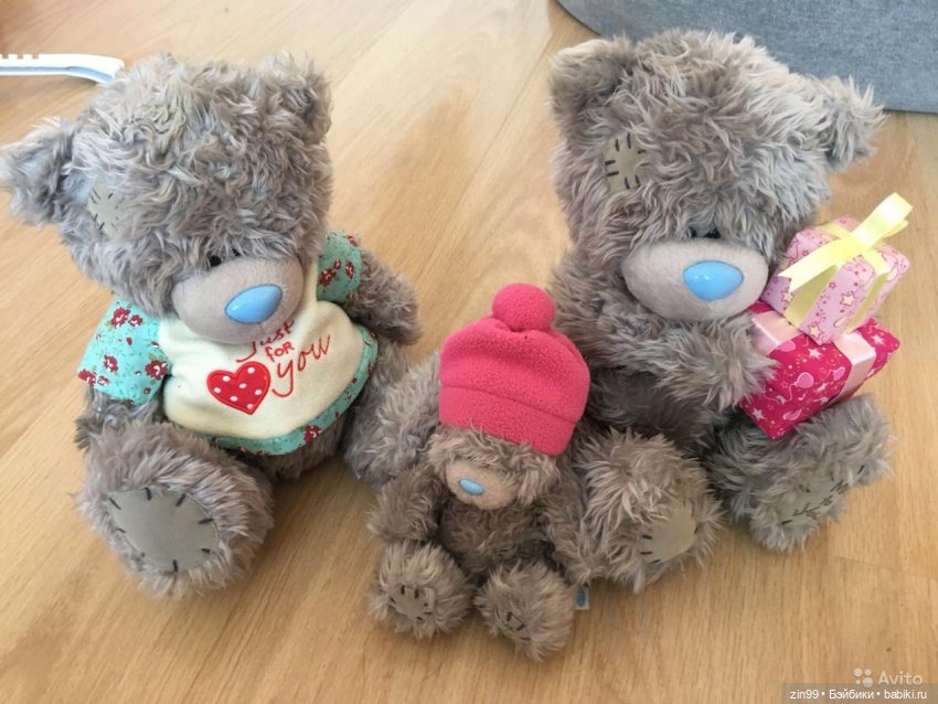 Мишки тедди или просто Мишки (фото 7)