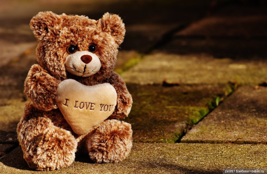 Мишки тедди или просто Мишки