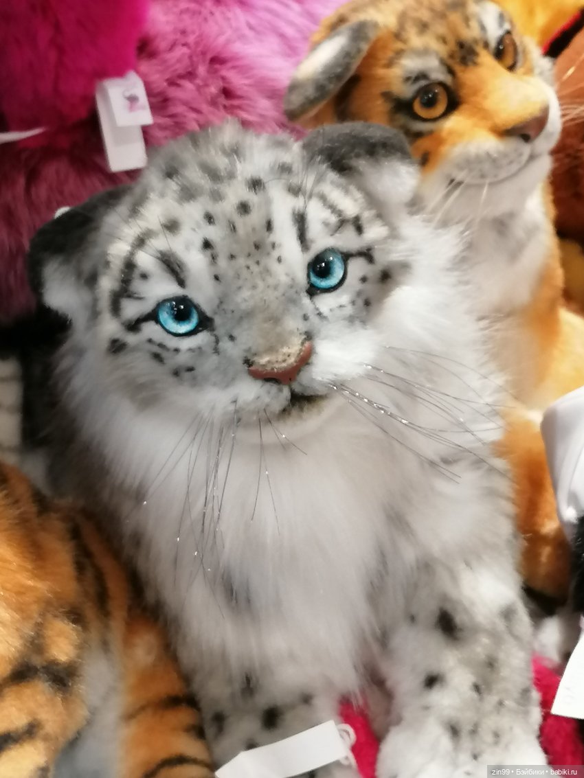 Самый большой детский магазин в Москве