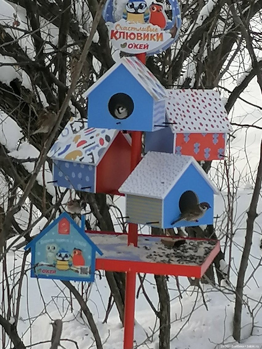 По сугробам и лесам или новая девочка Кармен