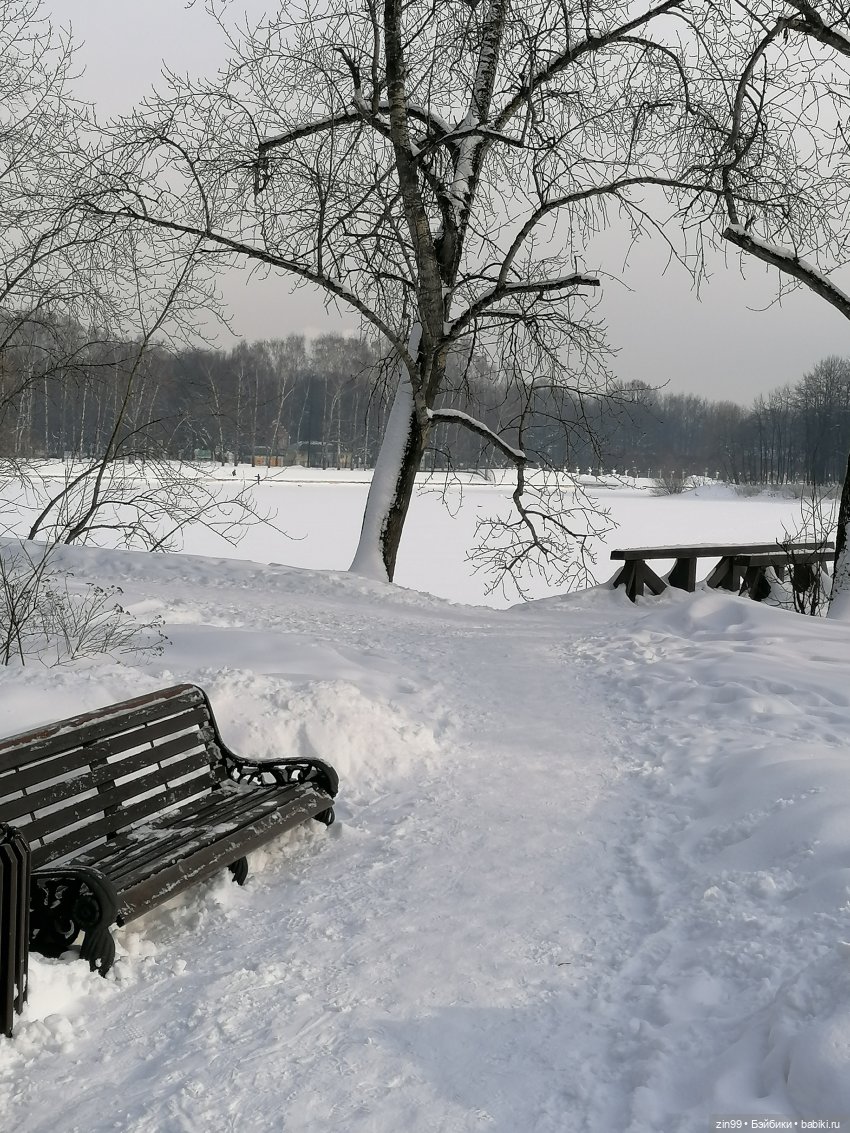 По сугробам и лесам или новая девочка Кармен