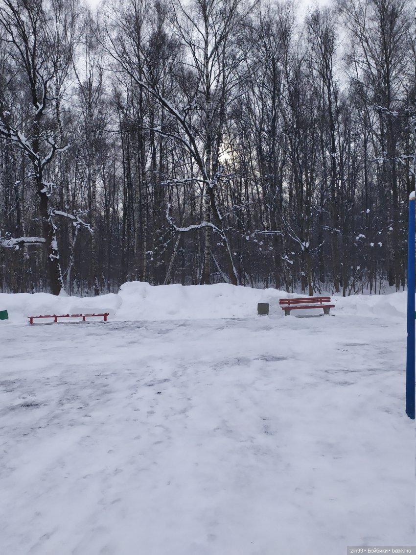 По сугробам и лесам или новая девочка Кармен