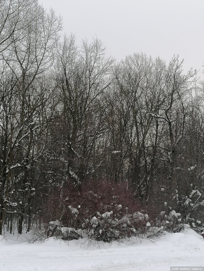 По сугробам и лесам или новая девочка Кармен