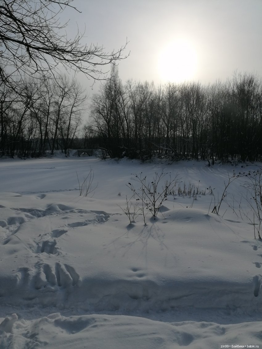 По сугробам и лесам или новая девочка Кармен