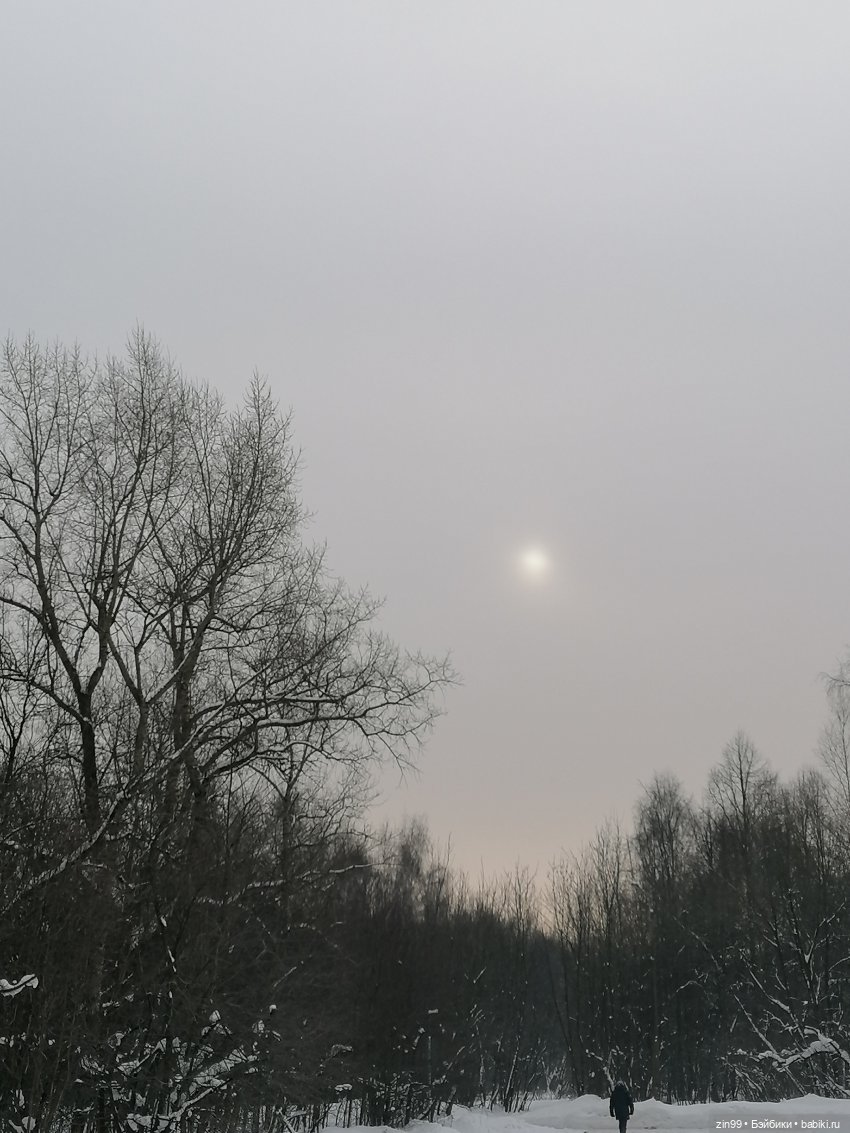 По сугробам и лесам или новая девочка Кармен