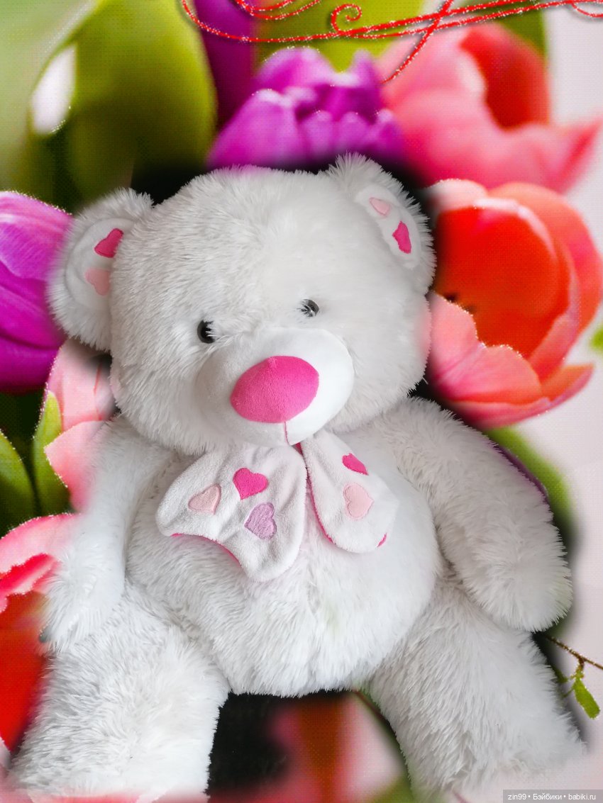 Мишки Аврора, уже исчезающие (фото 4)