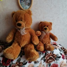 Мишки Аврора, уже исчезающие..