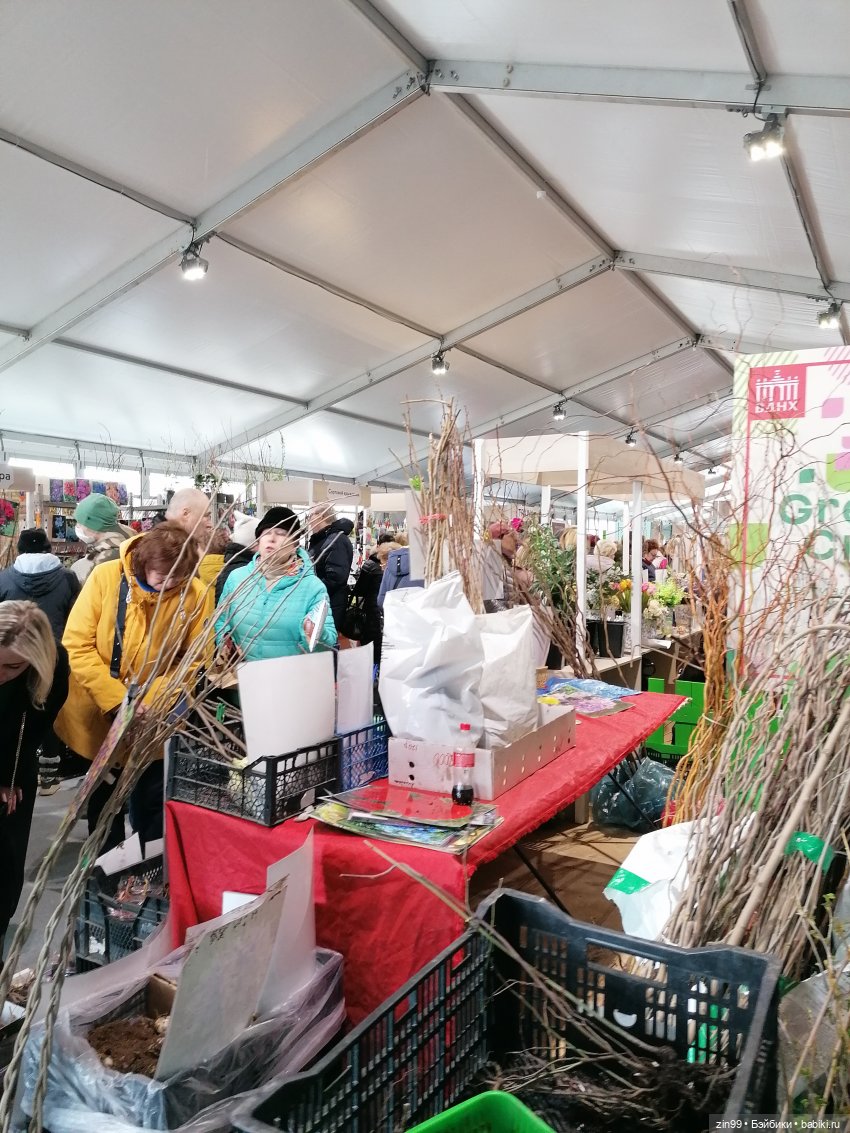 ВДНХ в апреле и новенькая