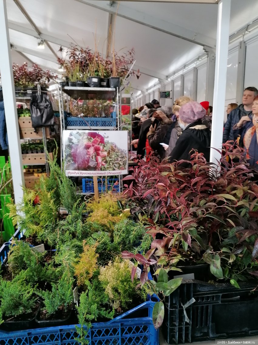 ВДНХ в апреле и новенькая