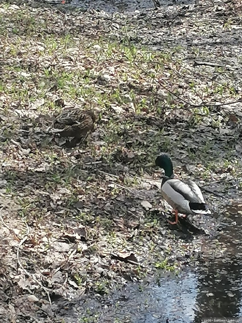Прогулка в парк с Джинни — Игровые куклы разных производителей (Разное): редкие бренды