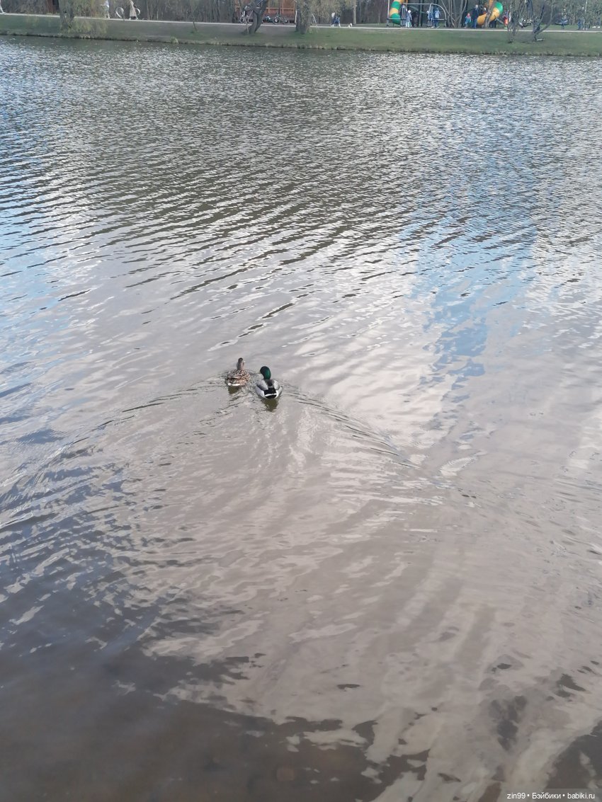 Прогулка в парк с Джинни — Игровые куклы разных производителей (Разное): редкие бренды