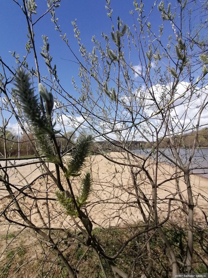 Прогулка в парк с Джинни — Игровые куклы разных производителей (Разное): редкие бренды