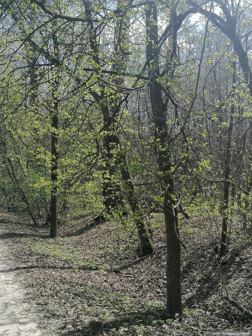 Прогулка в парк с Джинни — Игровые куклы разных производителей (Разное): редкие бренды