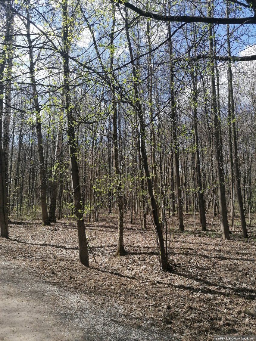 Прогулка в парк с Джинни — Игровые куклы разных производителей (Разное): редкие бренды