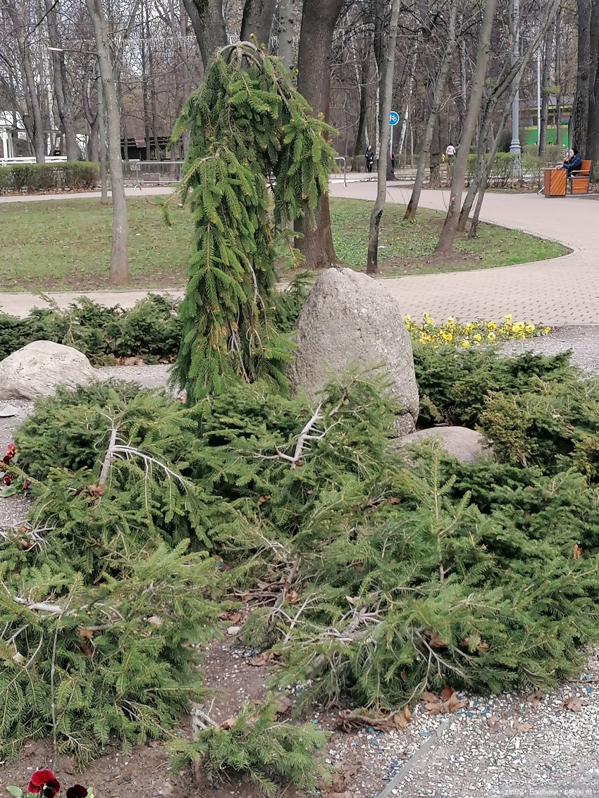 Парк Сокольники на 1 мая 2022 года